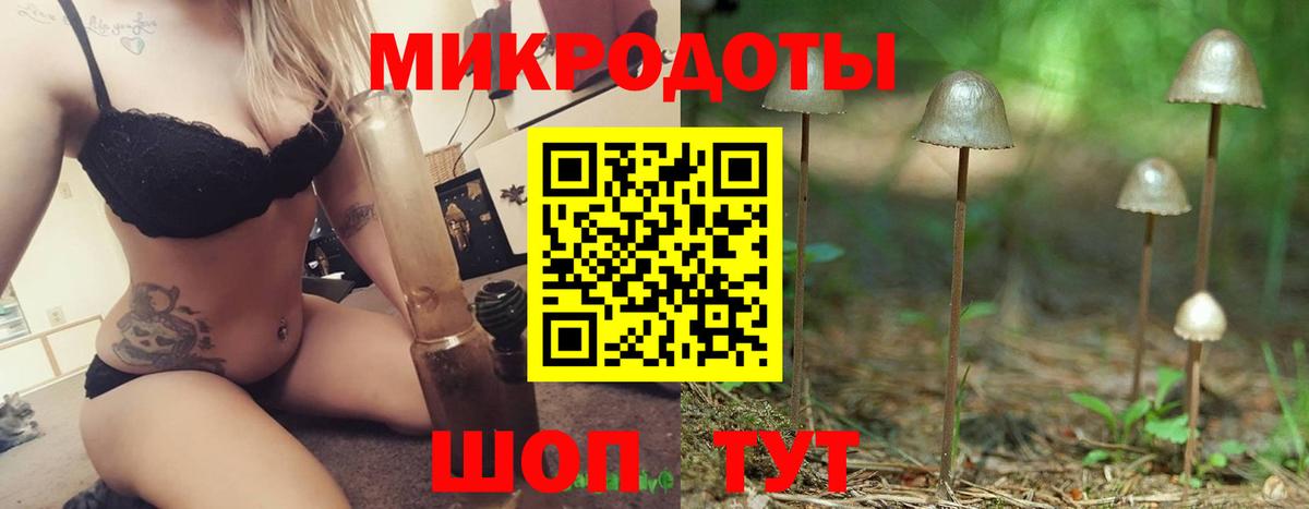 Галлюциногенные грибы мицелий Полысаево