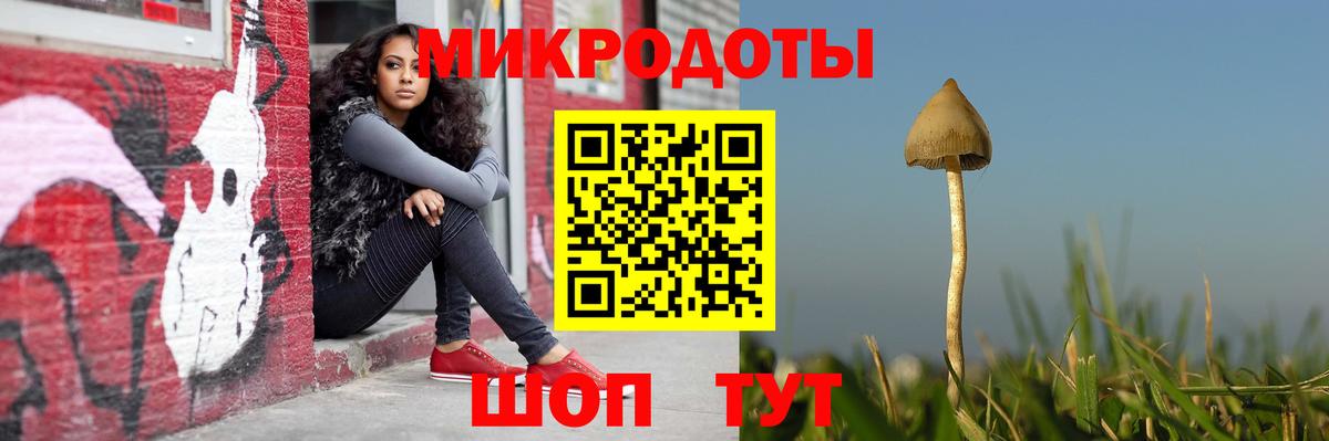 как найти закладки  Вход с VPN  Полысаево  Галлюциногенные грибы GOLDEN TEACHER 